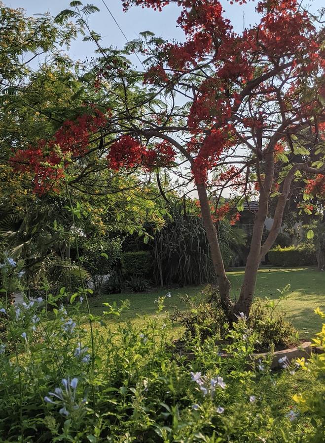 The Residence Villa Chobe كاسان المظهر الخارجي الصورة